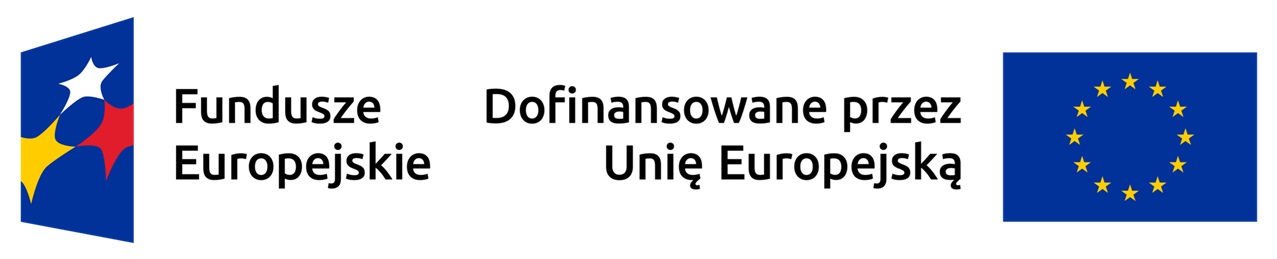 nagłowek - logo EFS