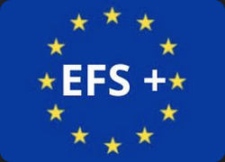 lOGO EFS+